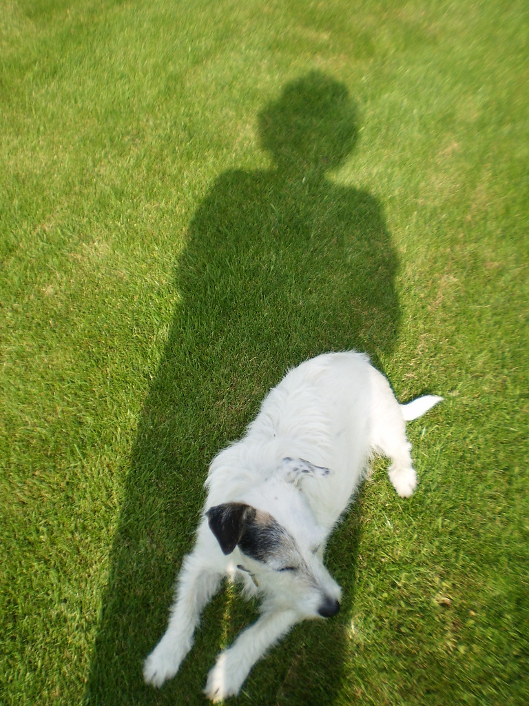 Me and my shadow.         by snowy