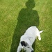 Me and my shadow.         by snowy