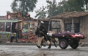 18th Jan 2012 - Pakistan vehicles VIII - Peshawar butcher cart