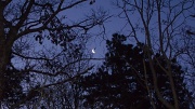 18th Jan 2012 - Good Morning, Moon, part 2