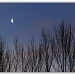 365-18  Moon by judithdeacon