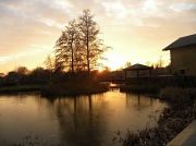 17th Jan 2012 - Sunset over the London Wetland Centre