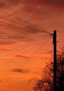 18th Jan 2012 - Telegraph Pole Sunset