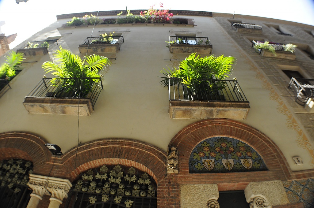 Balconies in Barcelona by dora