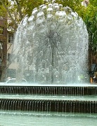 17th Jan 2012 - The Fountain