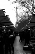 19th Jan 2012 - Market day avenue de Breteuil