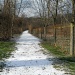 Snow covered path by mittens