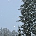 Snow by marilyn
