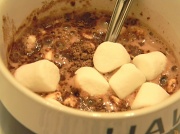 19th Jan 2012 - Hot Chocolate with Marshmallows 1.19.12
