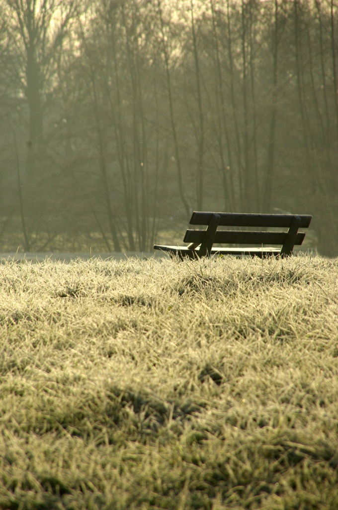 Bench on a winter morning waiting for summer by iiwi