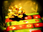 24th Dec 2011 - The Packages Were Put Under the Tree with Care.
