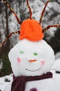 20th Jan 2012 - Mr Snowman