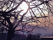 20th Jan 2012 - Late afternoon ..