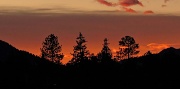 20th Jan 2012 - sunrise 1-20