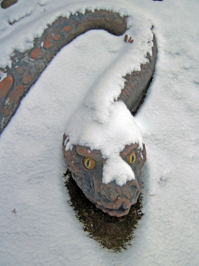 Beware of Snow Snakes by dakotakid35