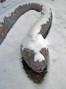 20th Jan 2012 - Beware of Snow Snakes
