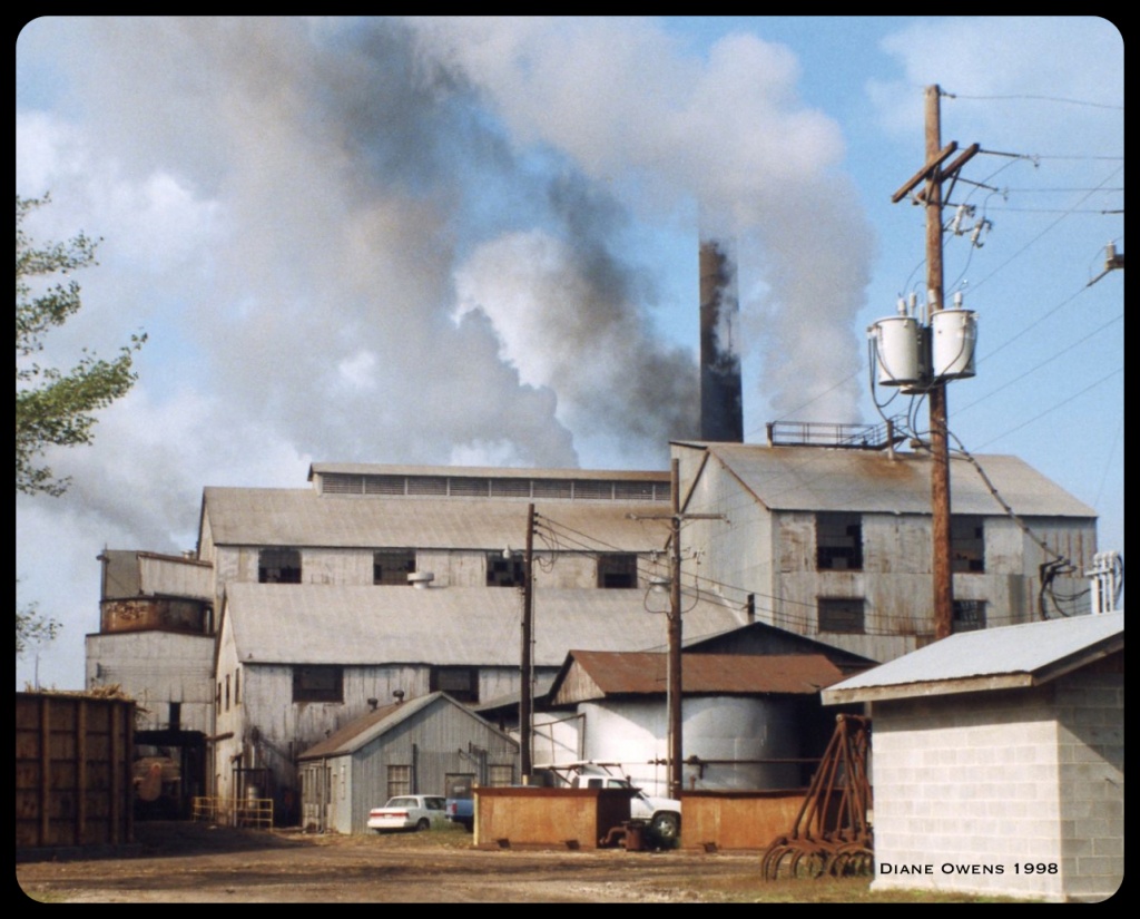 Glenwood Sugar Mill by eudora
