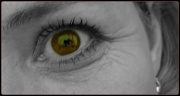 20th Jan 2012 - Eye see you Too!