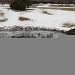 Mostly ducks on the pond today by kchuk