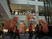 21st Jan 2012 - The Year of the Dragon. 