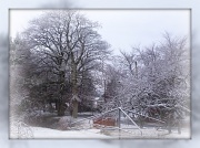 22nd Jan 2012 - Sunday snow