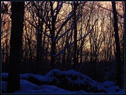 22nd Jan 2012 - Sunrise