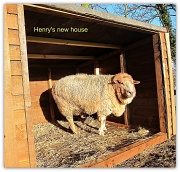 22nd Jan 2012 - Henry's new house.