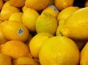 21st Jan 2012 - Life lemons