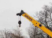 15th Jan 2012 - Crane on Crane