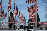 22nd Jan 2012 - Avenue of 444 Flags