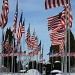 Avenue of 444 Flags by skipt07