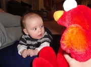 16th May 2010 - Elmo!