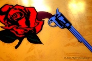18th Jan 2012 - Rose and Gun