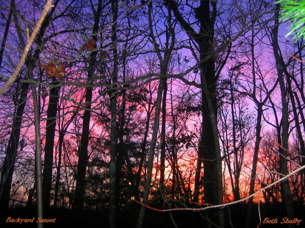 Backyard Sunset by vernabeth