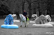 24th Jan 2012 - Elephants in the Park