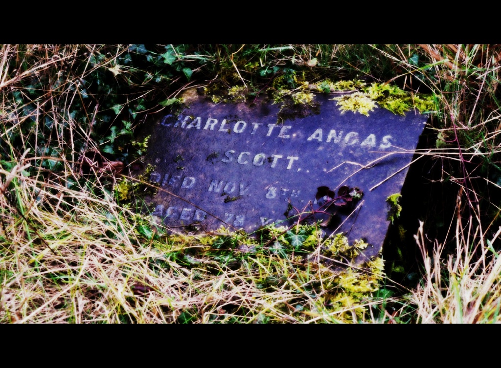 Here lies Charlotte Scott pioneer by judithg