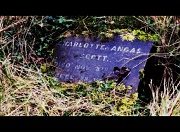 24th Jan 2012 - Here lies Charlotte Scott pioneer