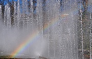21st Jan 2012 - Rainbow fountains