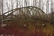 24th Jan 2012 - Foot bridge in winter