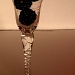 Blackberry Wine by jayberg