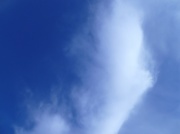 24th Jan 2012 - Blue, Blue Sky