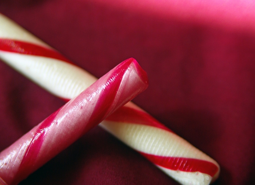 Candy Canes by cjphoto
