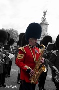 25th Jan 2012 - Queen's Guard Band