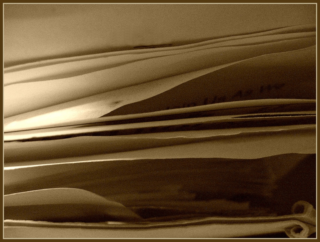 Paper Layers by olivetreeann