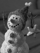10th Jan 2012 - Snowman with Star