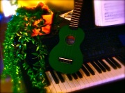 27th Jan 2012 - The music awaits