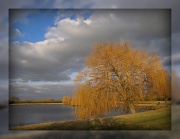 26th Jan 2012 - View around Roxton Lakes