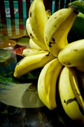 26th Jan 2012 - Bananas