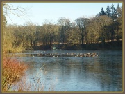 26th Jan 2012 - across the loch