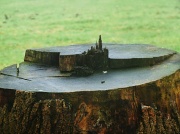 26th Jan 2012 - Elven Castle